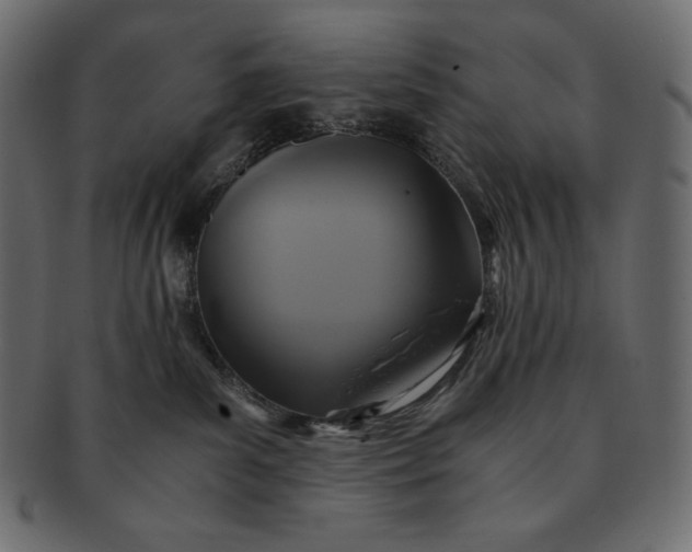 X0000091710139200709071421