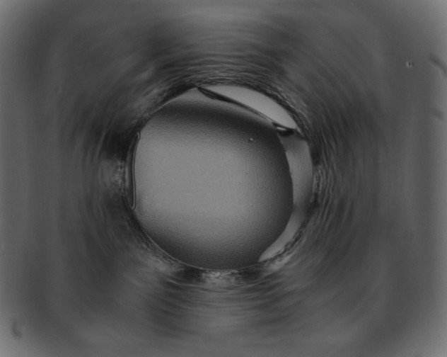 X0000091710141200709071421