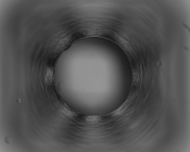 X0000091710142200709071421