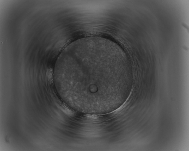 X0000091710144200709071421