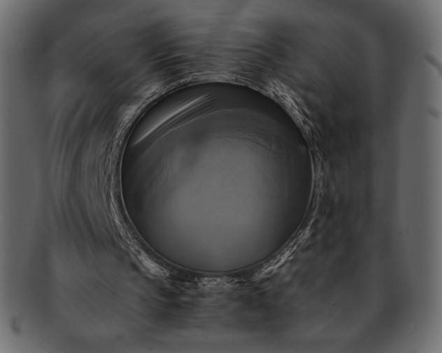 X0000091710145200709071420