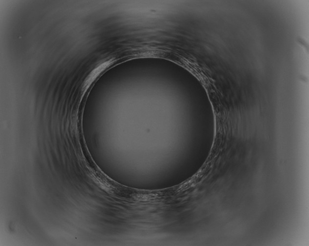 X0000091710147200709071420