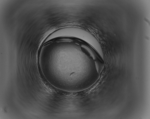 X0000091710148200709071420