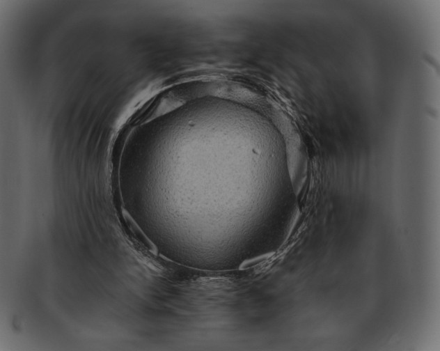 X0000091710150200709071420