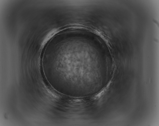 X0000091710151200709071420