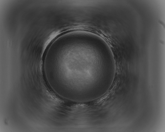 X0000091710152200709071420