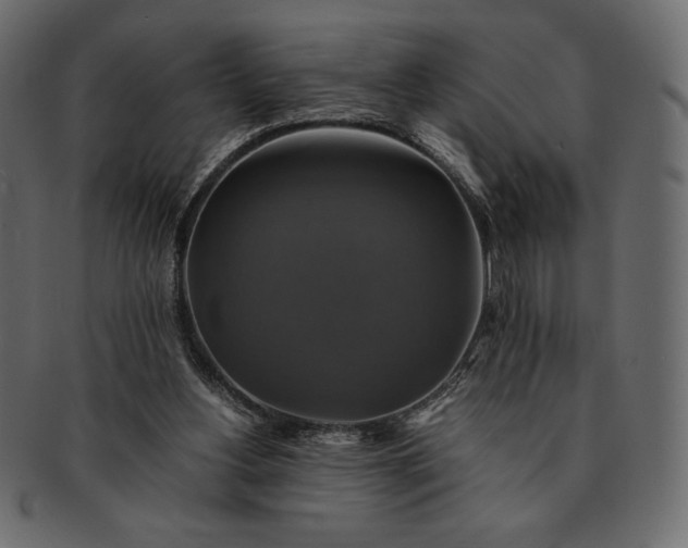 X0000091710156200709071420