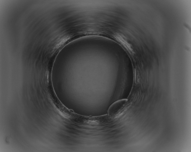 X0000091710157200709071420