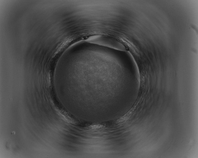 X0000091710158200709071420