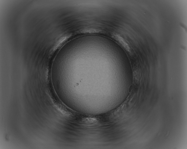 X0000091710159200709071420