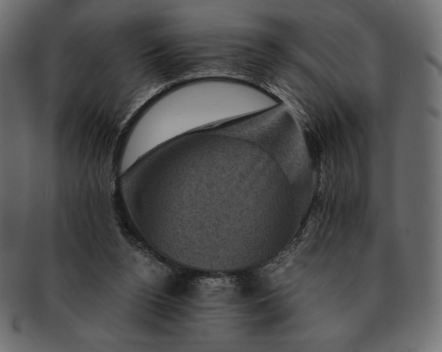 X0000091710160200709071420