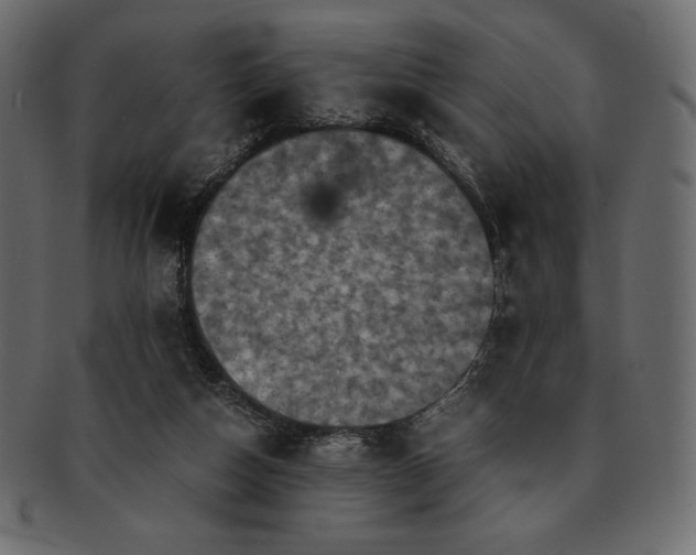 X0000091710162200709071420