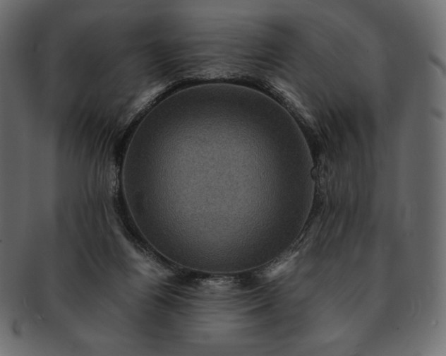 X0000091710164200709071420