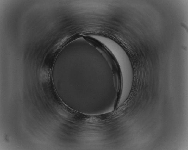 X0000091710168200709071421