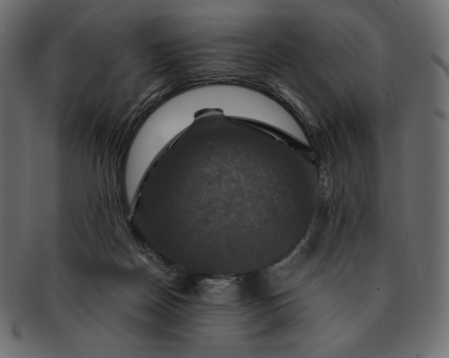 X0000091710170200709071421