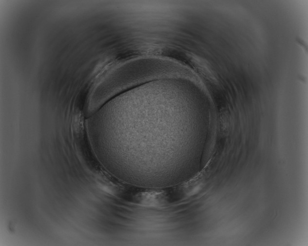 X0000091710172200709071421