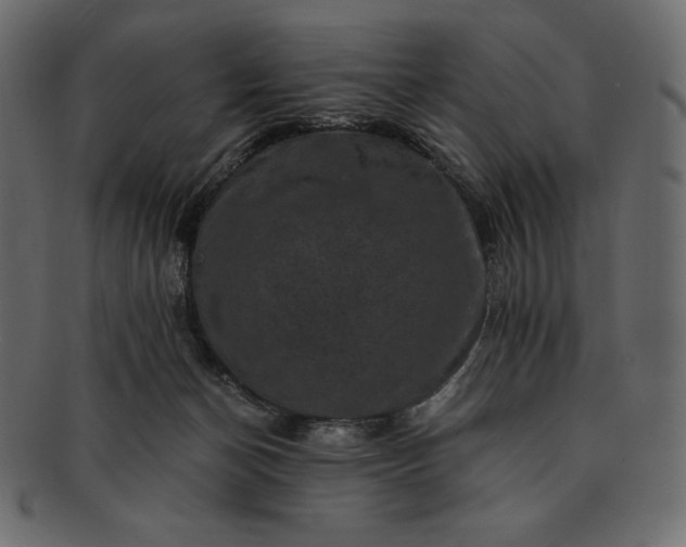 X0000091710174200709071421