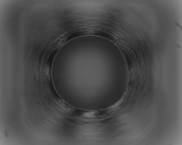 X0000091710178200709071421