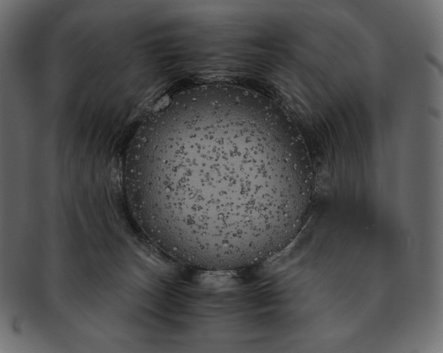 X0000091710179200709071421