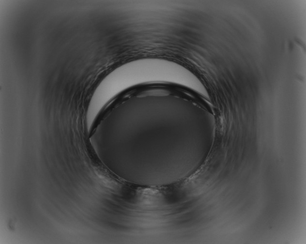 X0000091710180200709071421