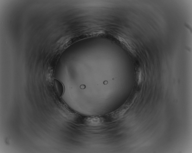 X0000091710181200709071421