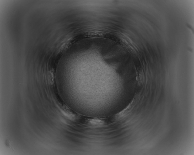 X0000091710183200709071421