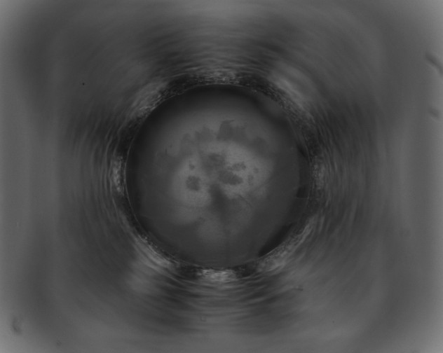 X0000091710185200709071421