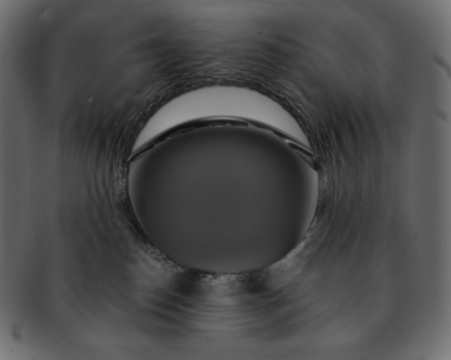 X0000091710186200709071421