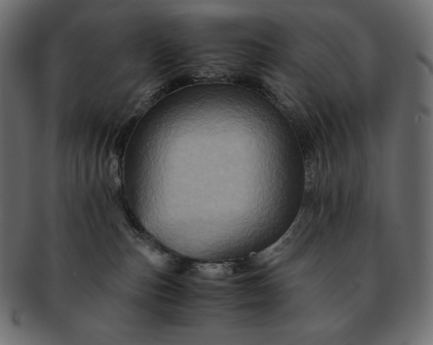 X0000091710187200709071421