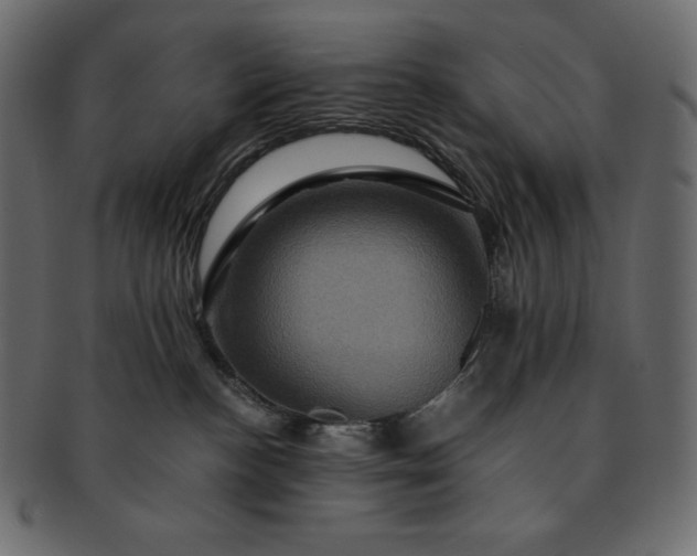 X0000091710188200709071421