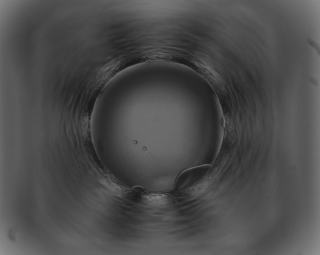 X0000091710189200709071421