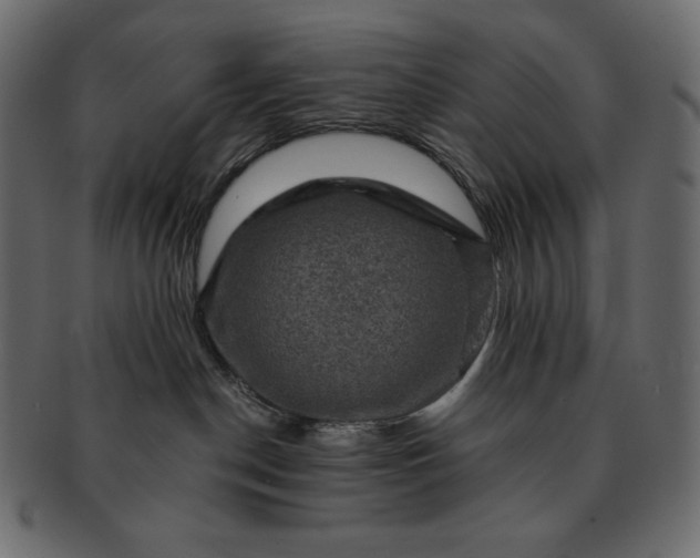 X0000091710190200709071421