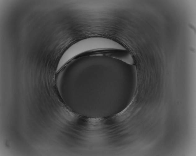 X0000091710192200709071421