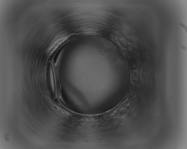 X0000091710194200709071420