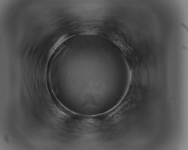 X0000091710195200709071420