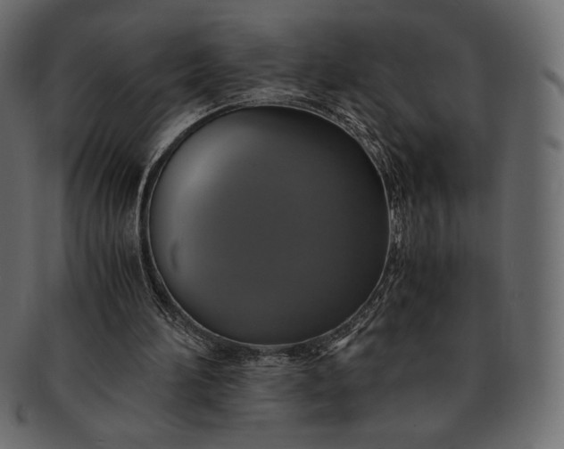 X0000091710196200709071420