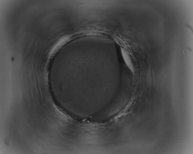 X0000091710197200709071420