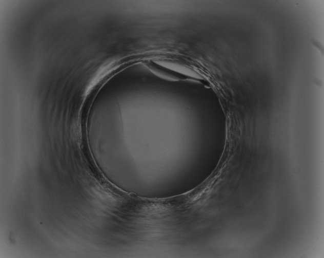 X0000091710198200709071420