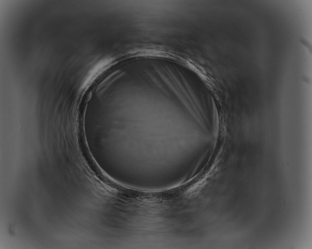 X0000091710199200709071420