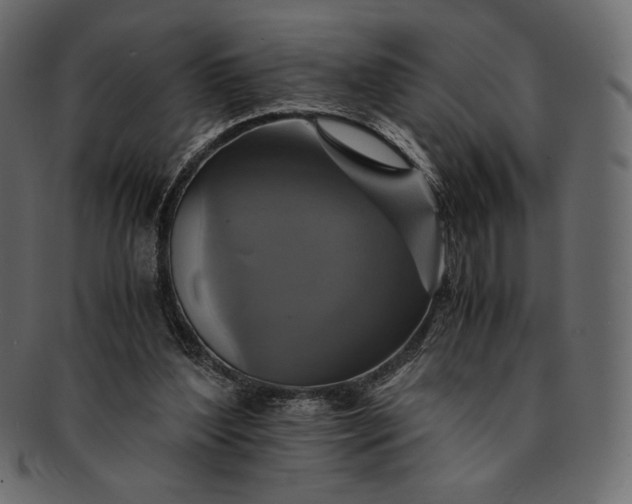 X0000091710204200709071420