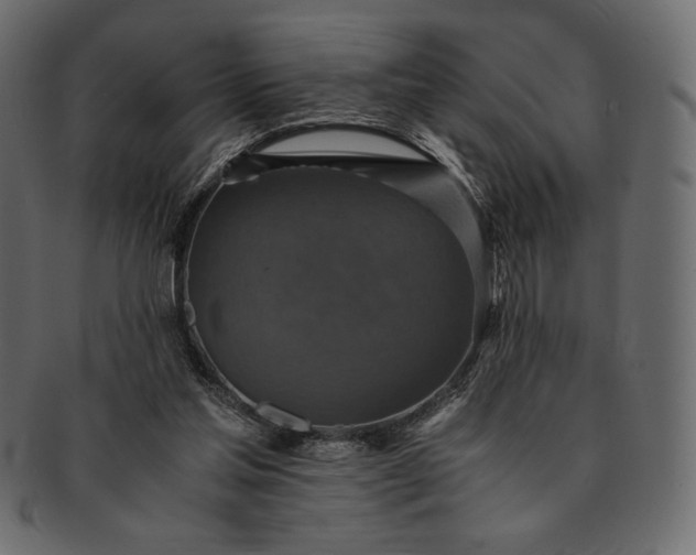 X0000091710205200709071420