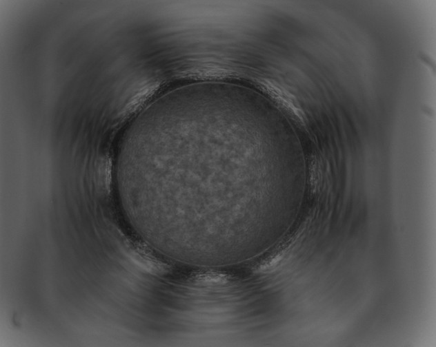 X0000091710206200709071420