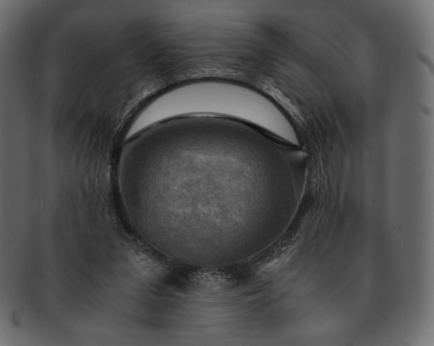 X0000091710207200709071420