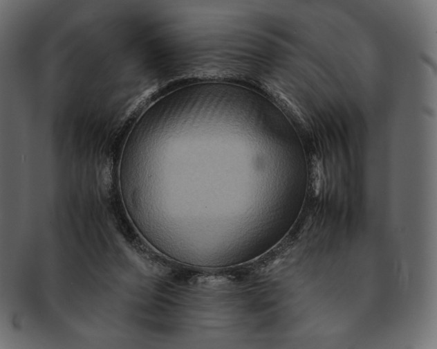 X0000091710208200709071420