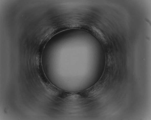 X0000091710210200709071420