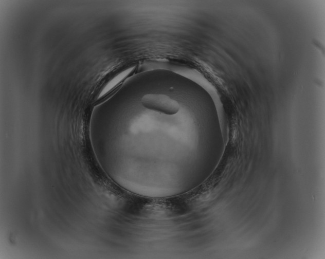 X0000091710211200709071420