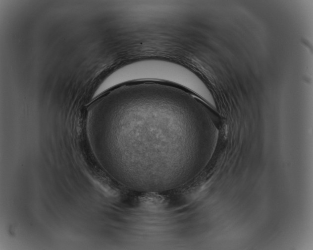 X0000091710215200709071420