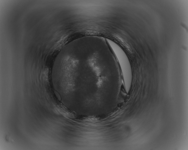 X0000091710217200709071420