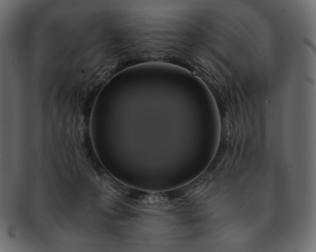 X0000091710223200709071420