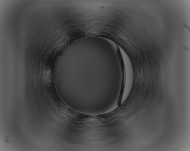 X0000091710224200709071420